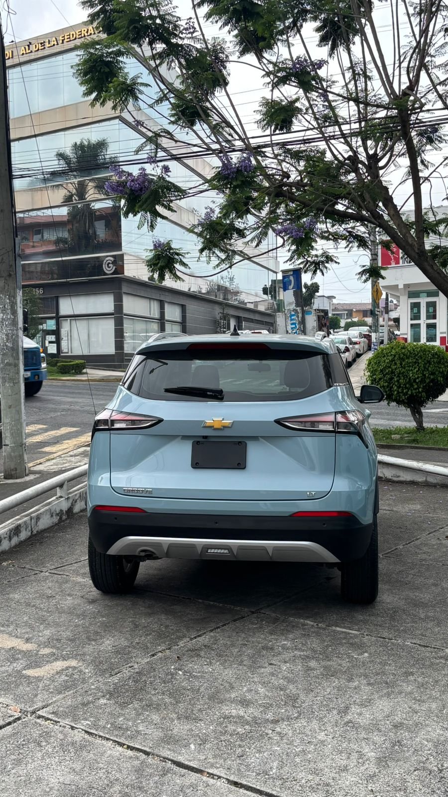 WhatsApp Image 2026-06-03 at 12.24.01 (3)